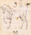 pferd-leu.jpg